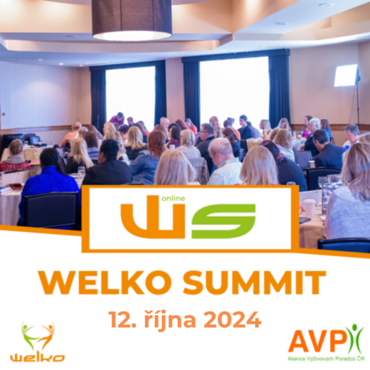 Welko Summit_online 2024